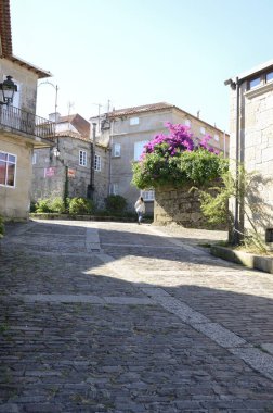 Bir taş cadde tarafından yürüyen kız 