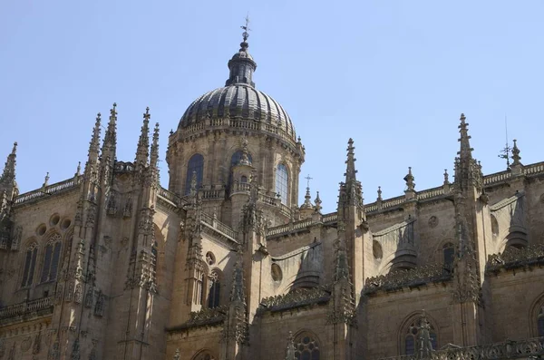Yeni bir katedral kubbe ve üst parçası — Stok fotoğraf