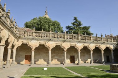 Okul avlu Üniversitesi nde