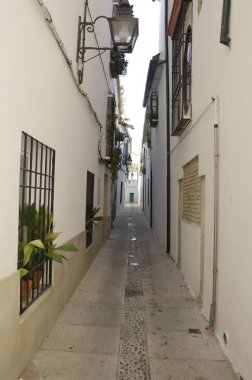 Cordoba dar sokakta