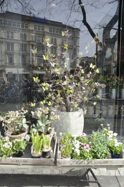 Çiçekler ve pencere mağaza üzerine düşünceler