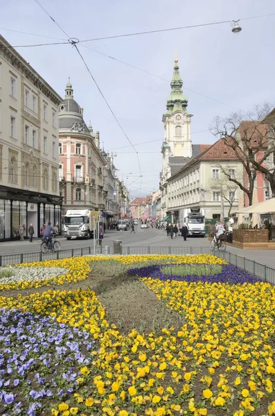 Flowers at the main street — Stock Photo, Image