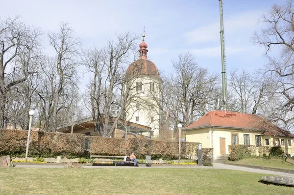 Ogród na wzgórzu Schlossberg — Zdjęcie stockowe