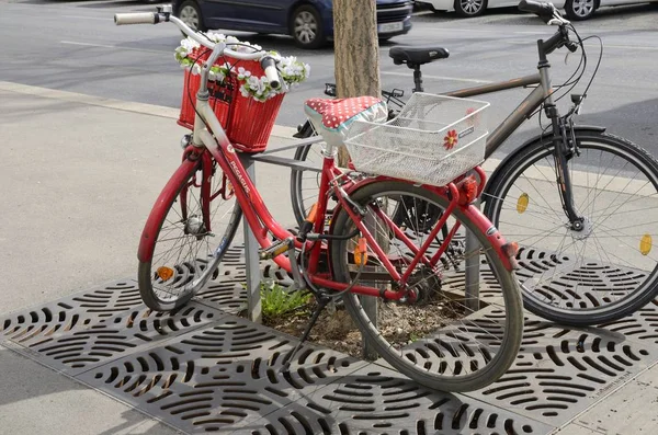 Kwiaty na kosz z czerwonym bicycl — Zdjęcie stockowe