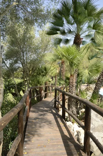 Wooden footpath  in garden — Stock Photo, Image