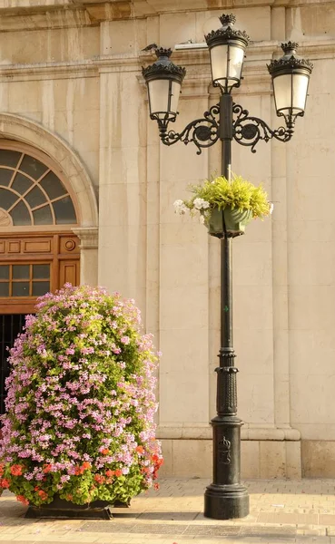 Städtischen florale Ornamente — Stockfoto