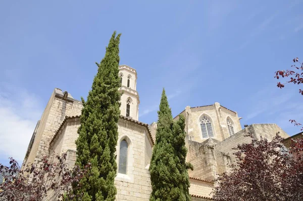 Église romane de Saint-Pierre — Photo