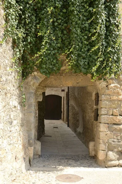 Edera sulla porta dell'arco medievale — Foto Stock