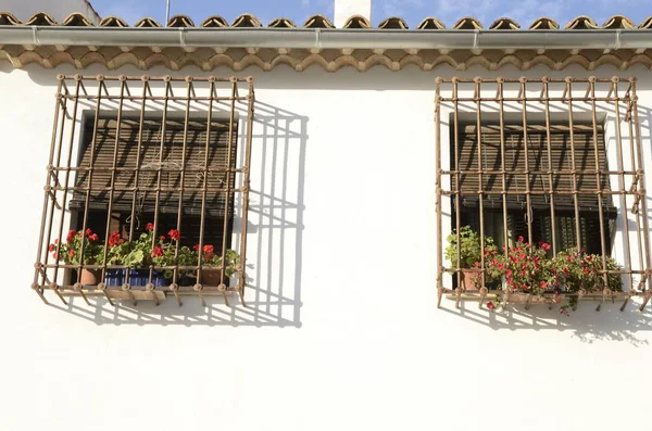 Beyaz duvar üstünde ızgara pencere eşiği