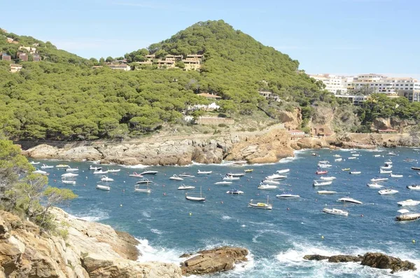 Küçük koyda Sa Riera