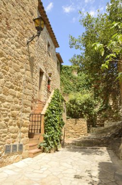 Pals büyüleyici sokak