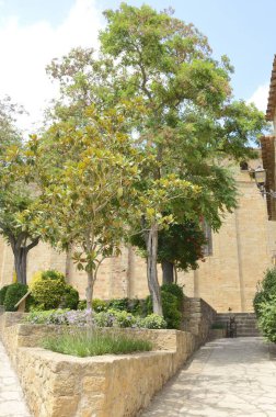 Ağaçlar taş Plaza