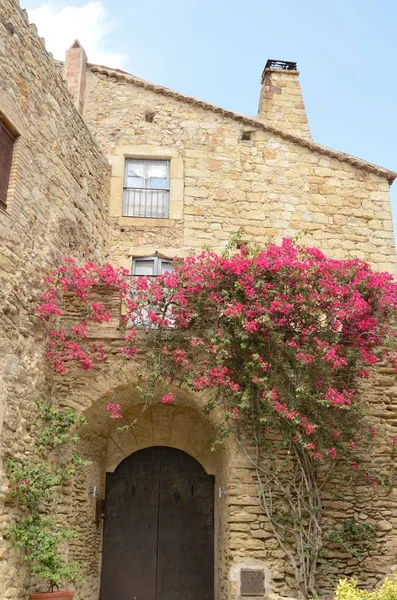 Taş ev üzerinde pembe çiçekler 