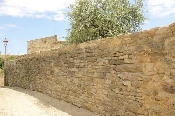 石头墙和橄榄色树 — 图库照片