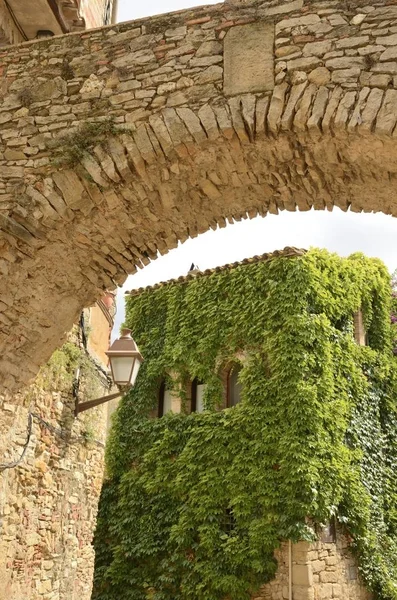 Ivy on medieval building — Stock Photo, Image