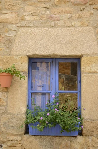 Maceta de flores en ventana azul — Foto de Stock