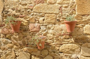 Zeytin yaprağı tencere 