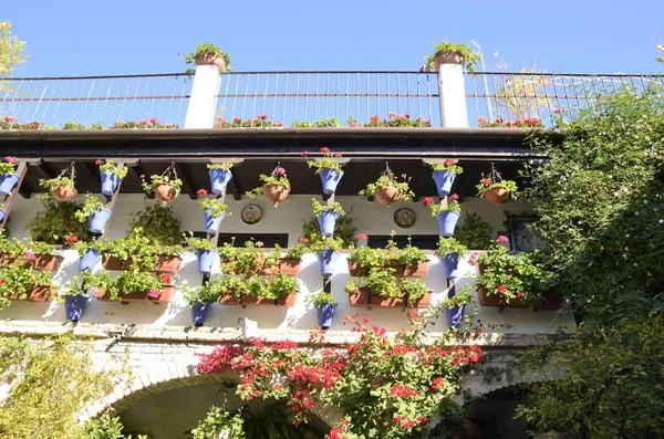 Blumen auf der Terrasse — Stockfoto