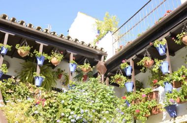 Çiçekler Cordoba verandada