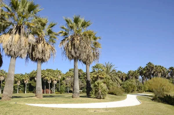 Sentiero a forma di spada in giardino — Foto Stock