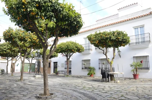 Drzewa pomarańczy w plaza Estepona — Zdjęcie stockowe