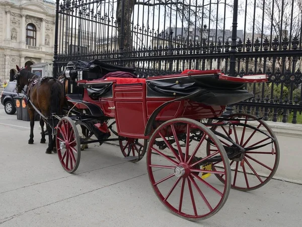 Carruagem de cavalo de Viena — Fotografia de Stock