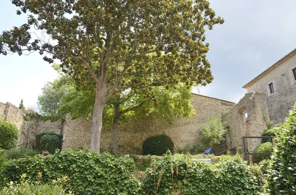 Trädgård i Gironas gamla stan — Stockfoto
