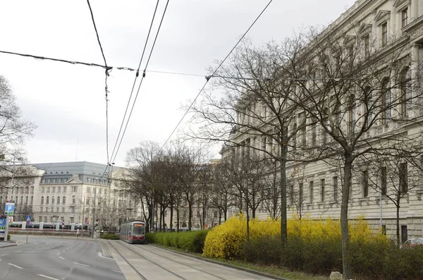 Tramvaje ve Vídni — Stock fotografie