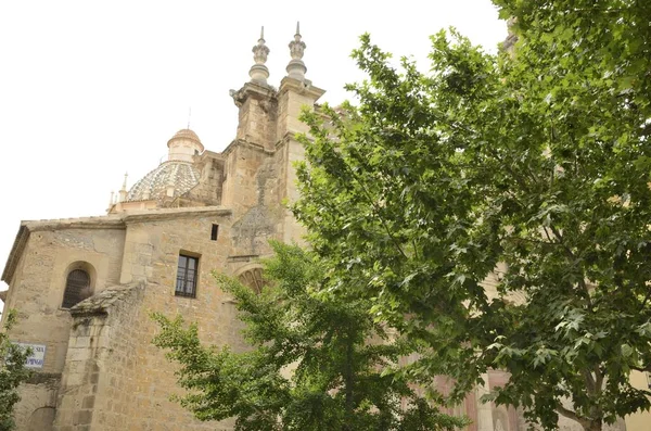 Дерево и храм в Гранаде — стоковое фото