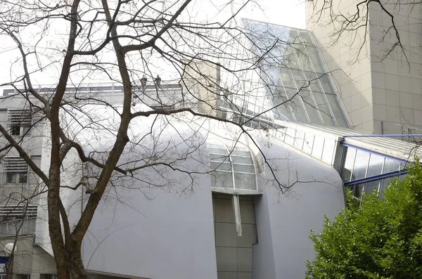 Albero e edificio moderno all'università di Graz — Foto Stock