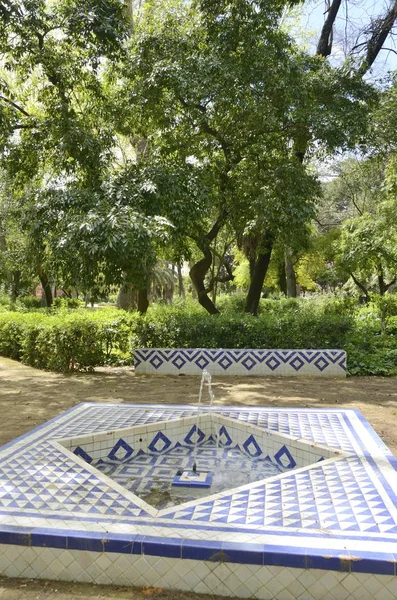 Vit och blå fontän i trädgården — Stockfoto