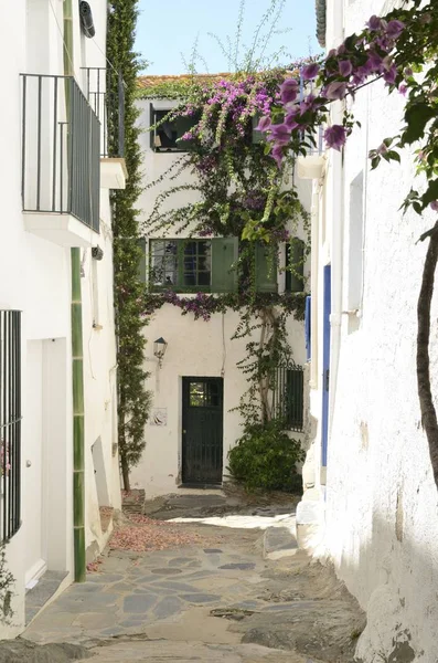 Traditional Cadaques house with green shutters — Stock Photo, Image