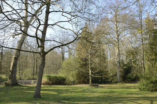 Parque natural em Leuven — Fotografia de Stock
