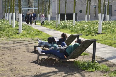 Brüksel 'deki şehir sandalyeleri