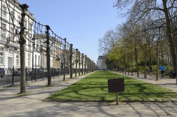 Parque em Bruxelas — Fotografia de Stock