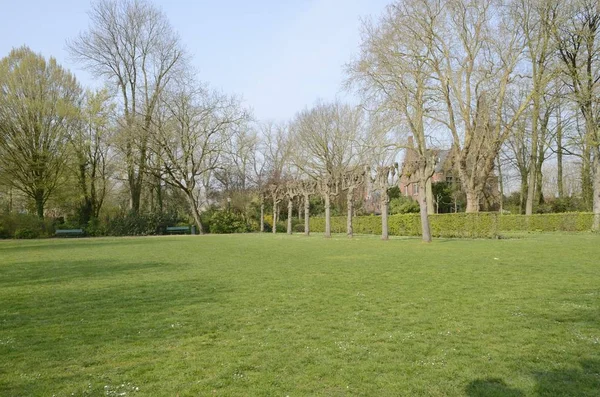 Grass area in park