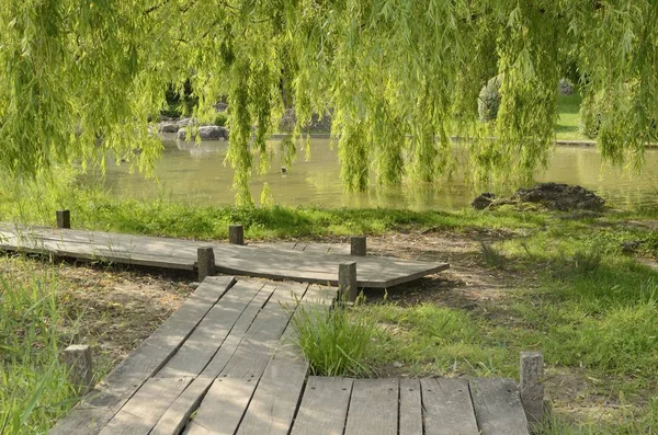 Holzweg neben dem Parksee — Stockfoto