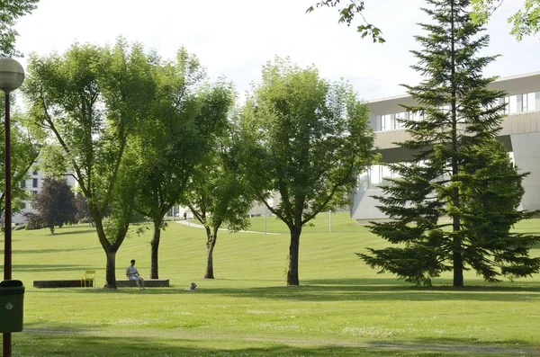 Mann auf dem Campus der Universität — Stockfoto