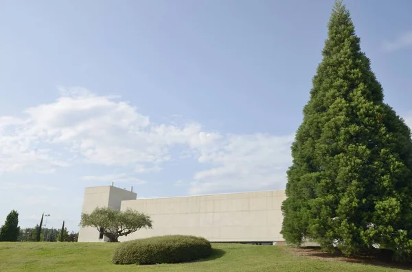 Edifício universitário e árvore grande — Fotografia de Stock