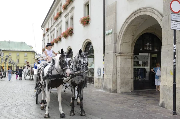 Carruaje de caballos en el casco antiguo de Cracovia — Foto de Stock