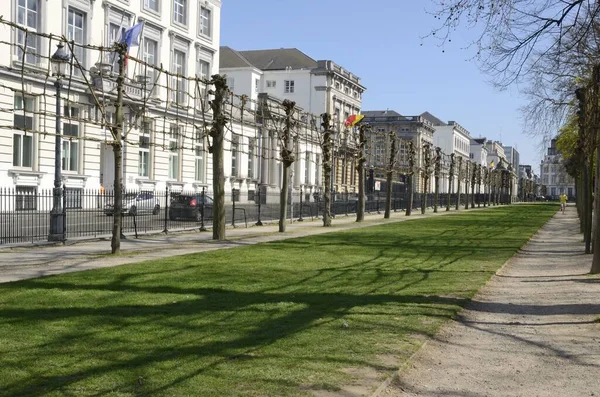 Брюссель Бельгия Марта 2019 Года Площадь Травы Общественном Парке Брюсселя — стоковое фото