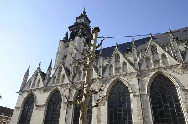 Голі Дерева Перед Церквою Богоматері Брюсселі Бельгія — стокове фото