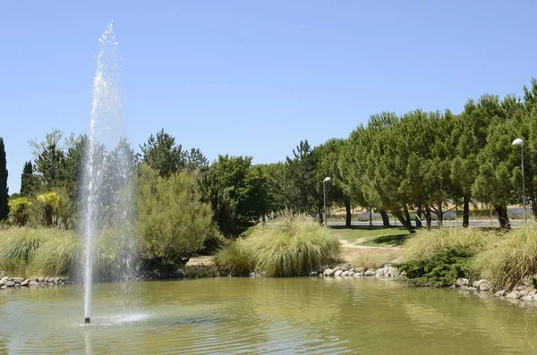 位于西班牙首都马德里公园的池塘中的水流 — 图库照片