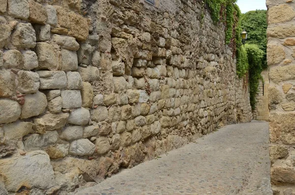 Sentiero Lastricato Pietra Del Borgo Medievale Pals Situato Nel Cuore — Foto Stock