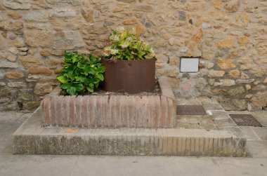 Peratallada 'nın ortaçağ köyünde, Katalonya' nın Girona bölgesinin ortasında, taş duvarın yanındaki paslı demir tencereye bitki dikmek..