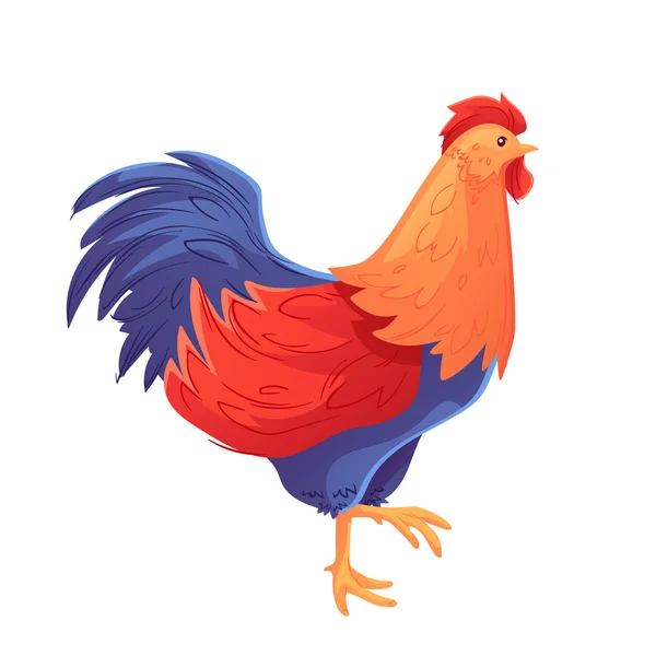 Corps complet de coq coloré marchant sur fond blanc — Image vectorielle