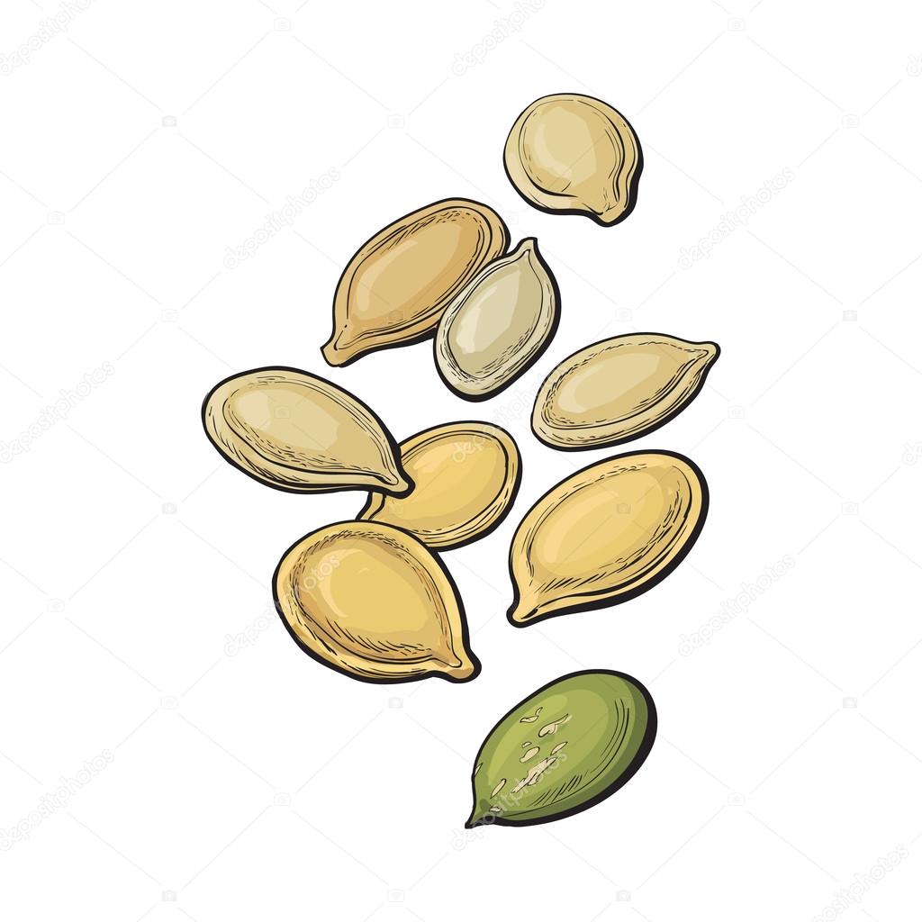 Whole and peeled pumpkin seeds isolated on white background