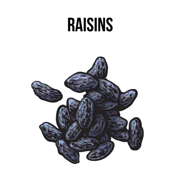 Pile de raisins secs, style croquis, illustration vectorielle dessinée à la main — Image vectorielle