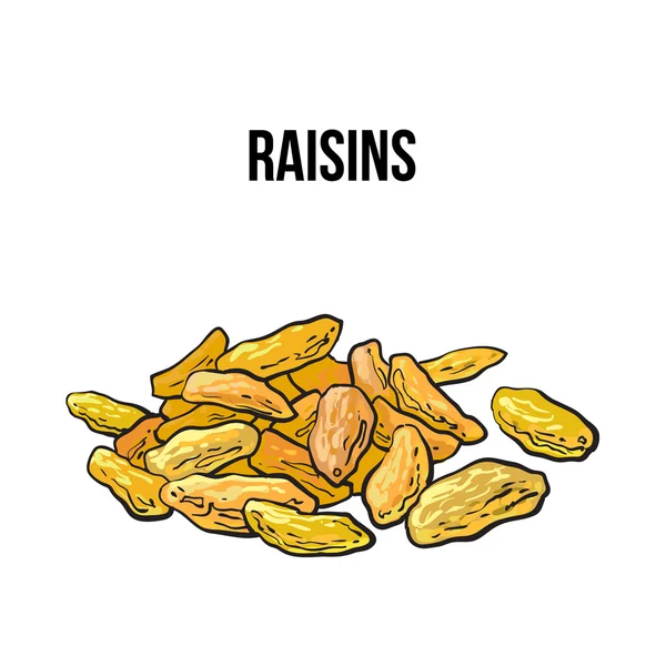 Pile of dried raisins, sketch style, hand drawn vector illustration — Stock Vector