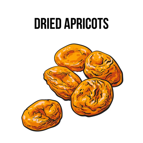 Pile of dried apricots, sketch style, hand drawn vector illustration — ストックベクタ